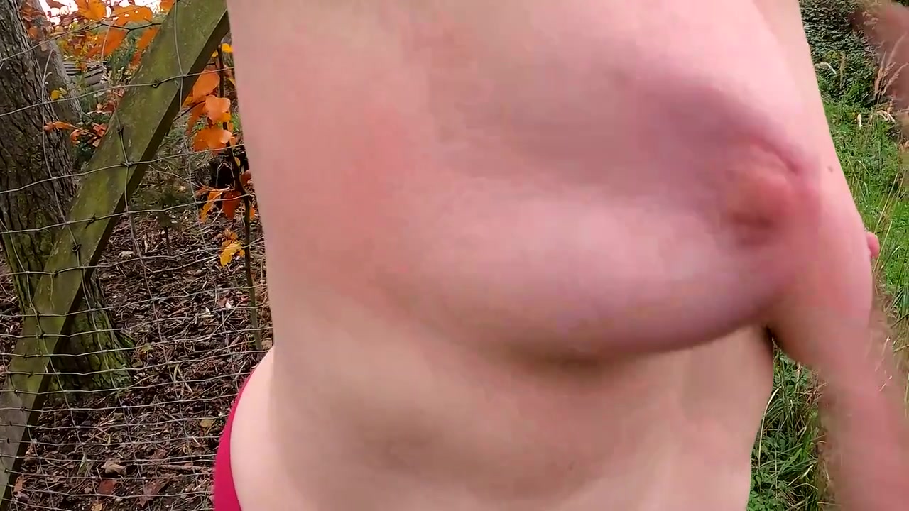 We Can Torture Your Breasts Over There At The Fence