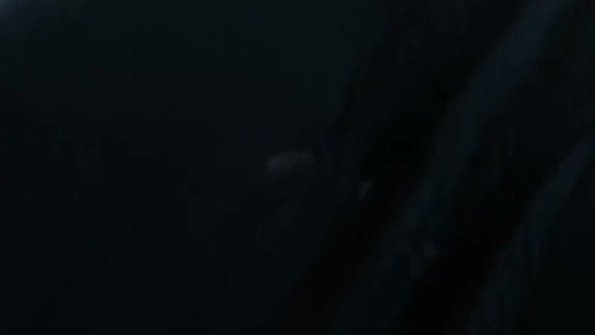 Incredible xxx movie shemale Webcam fantastic full version