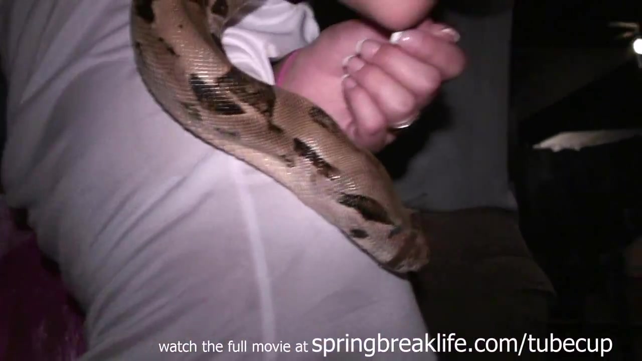 SpringBreakLife Video: Key West Street Party