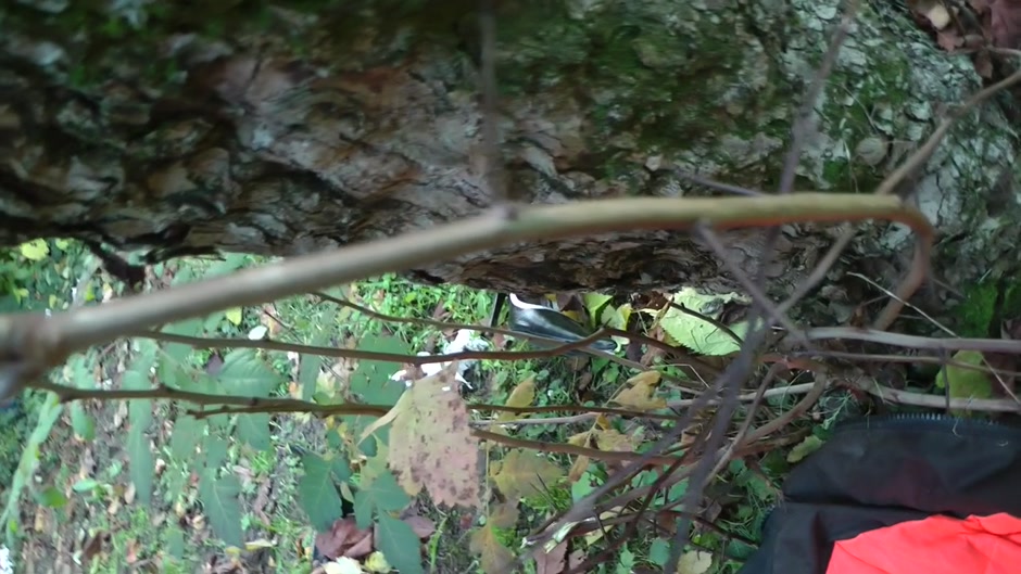 Hot chick gets her twat fucked in the outdoors
