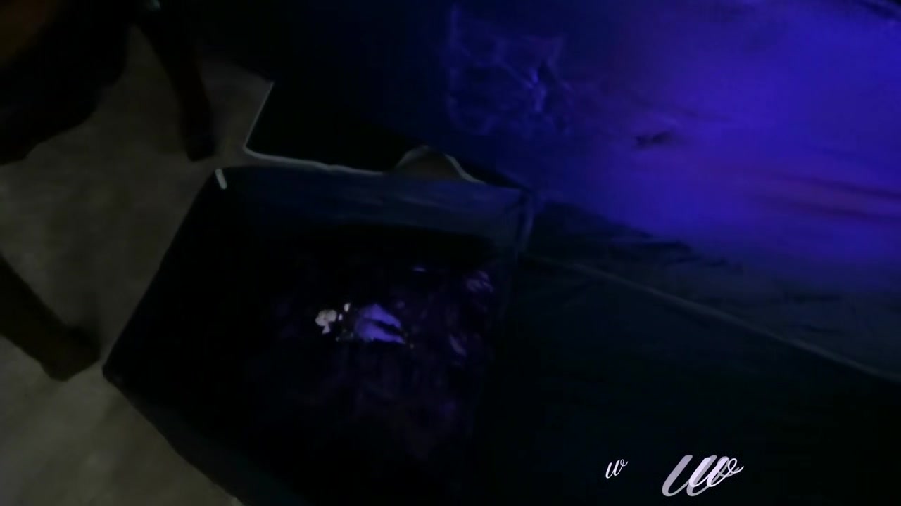 Samantha38g - I Shrunk Dracula & Made Hm My Pet
