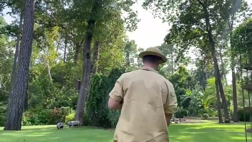 Safari Halloween Special With Nick Sandell