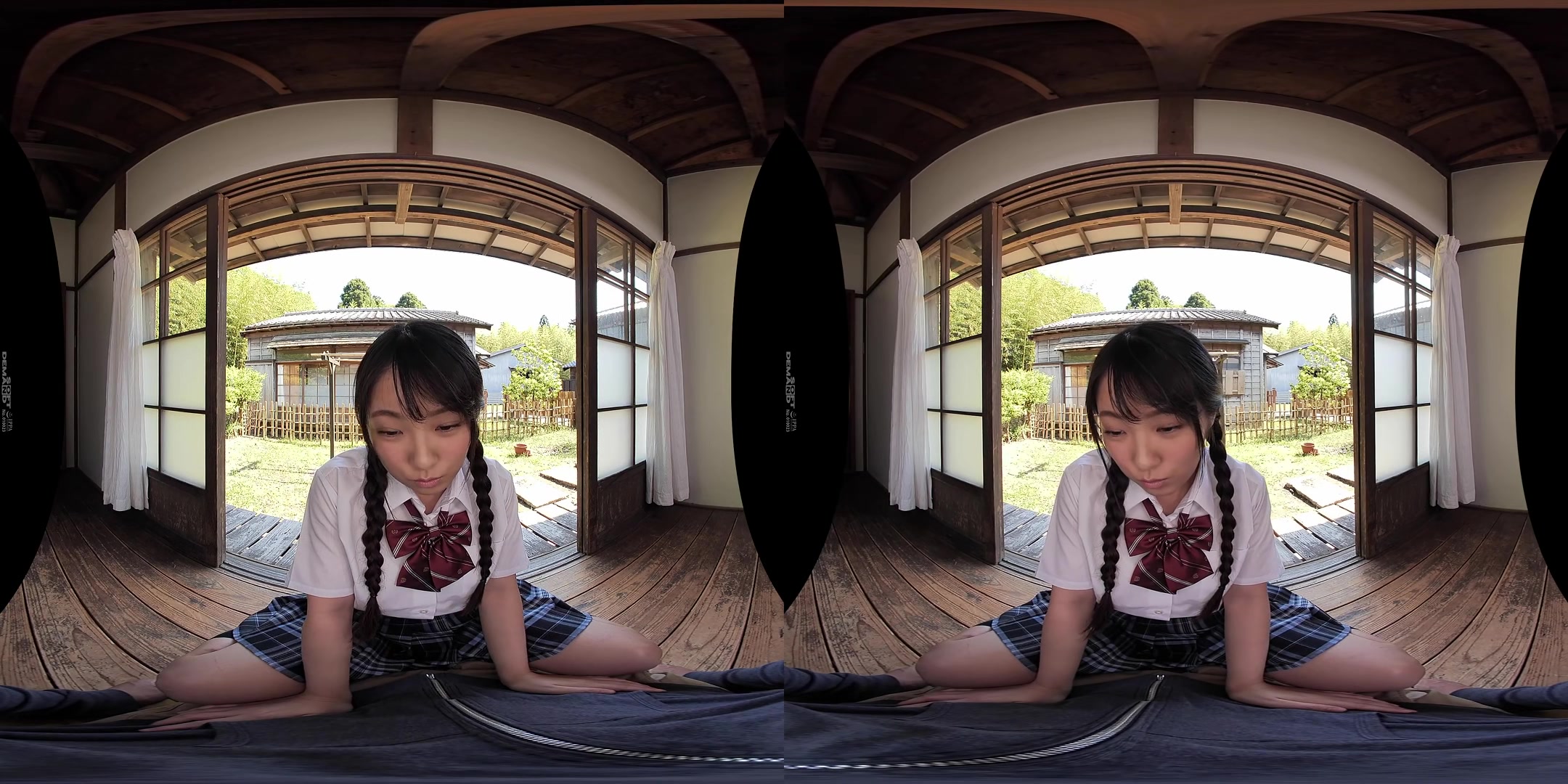 Face Licking VR - SodCreate