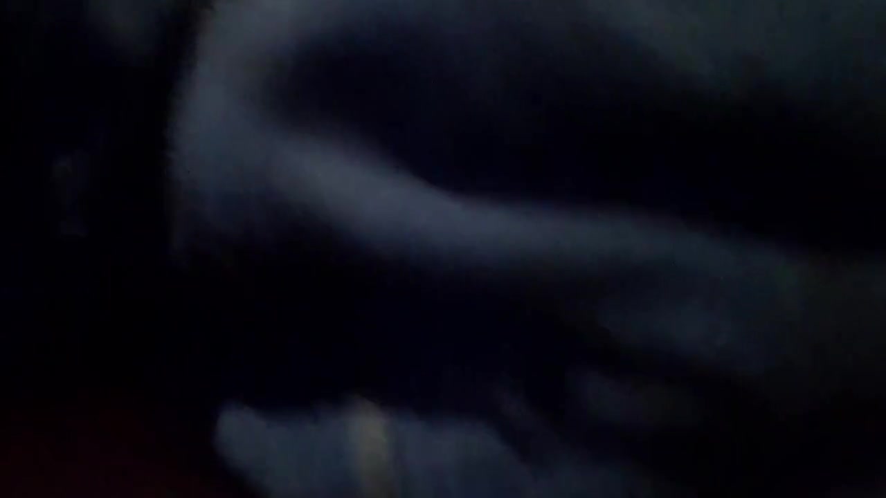 My Ass My Penis