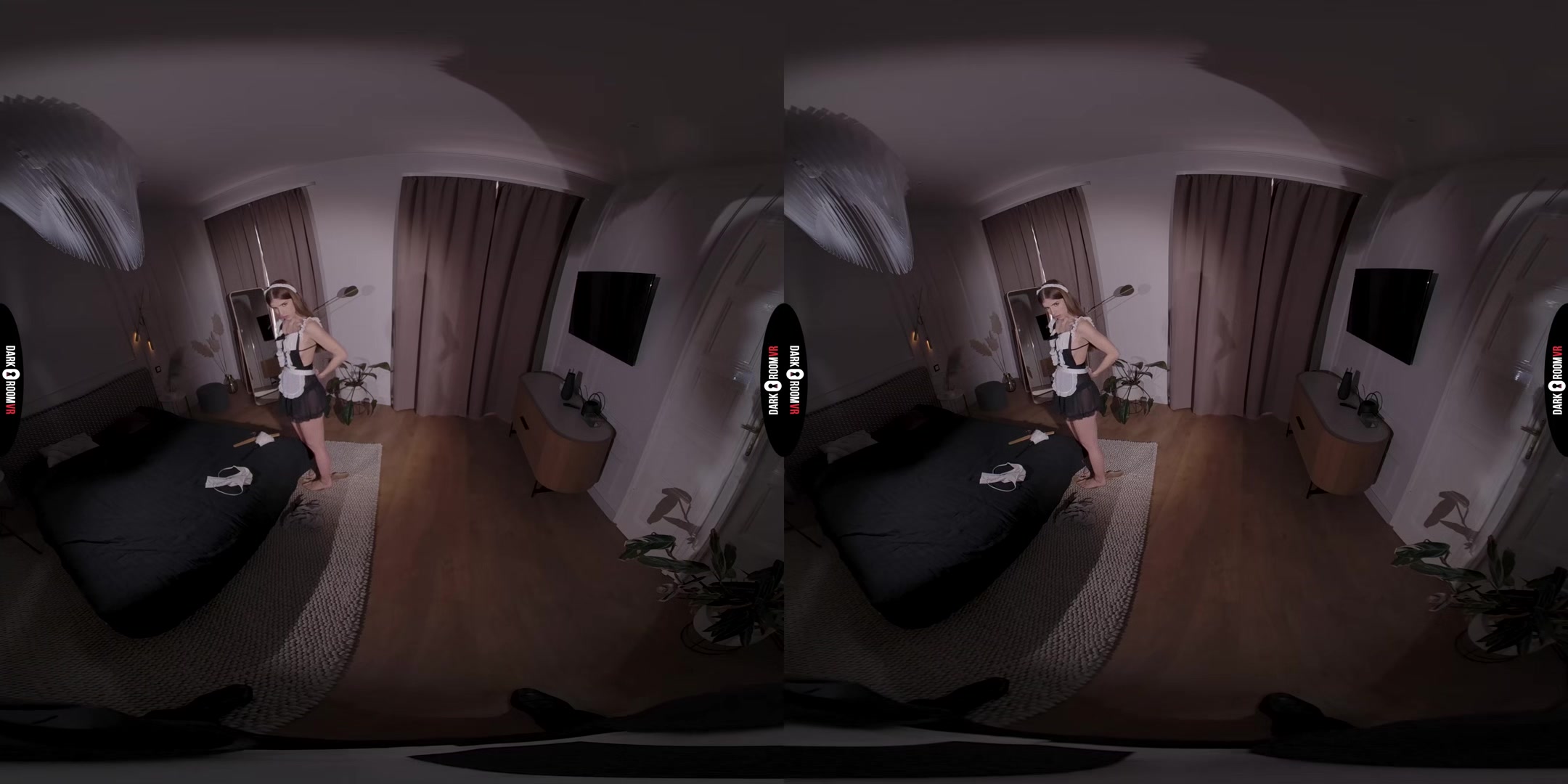 Maid's Job