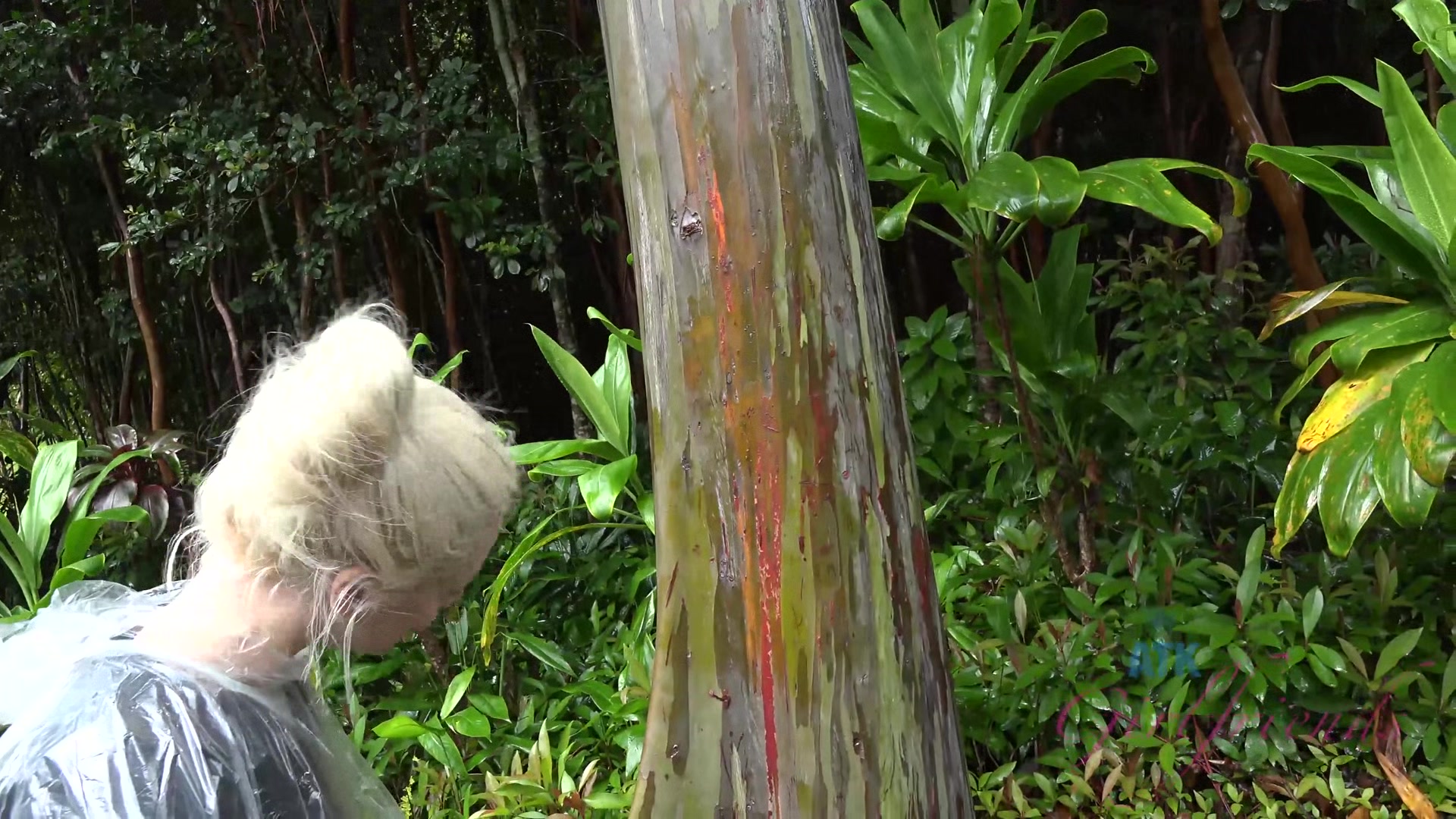 Virtual Vacation Hawaii With Elsa Jean 5/8