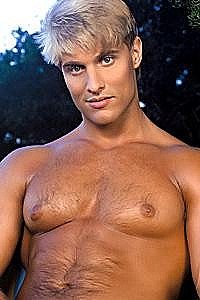 Steve Fox