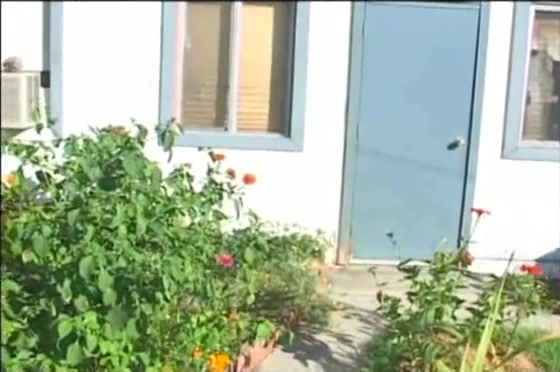 Lusty gardener pleases two shemales