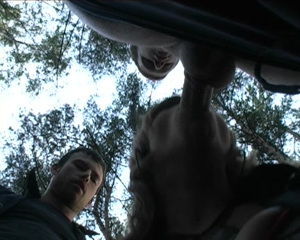 Titted golden-haired pair drilled in the woods