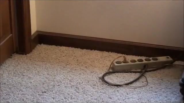 sissy entertains her Step daddy date