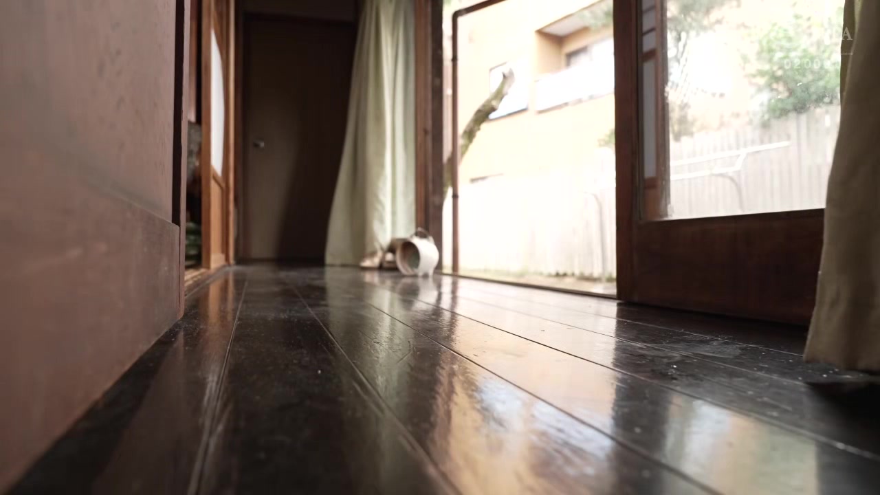 0008264_セックス えっち お掃除フェラなどが含まれている
