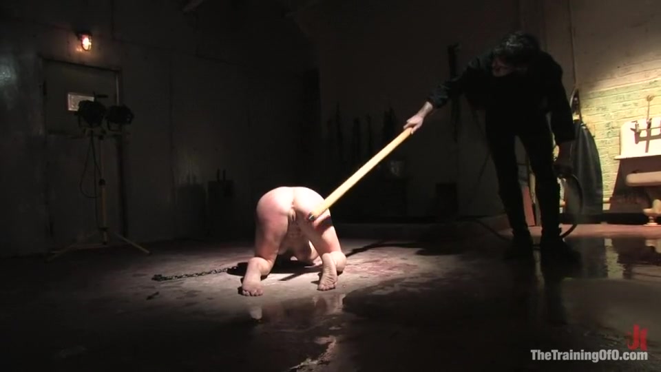 The Training of Dia Zerva, Day Four