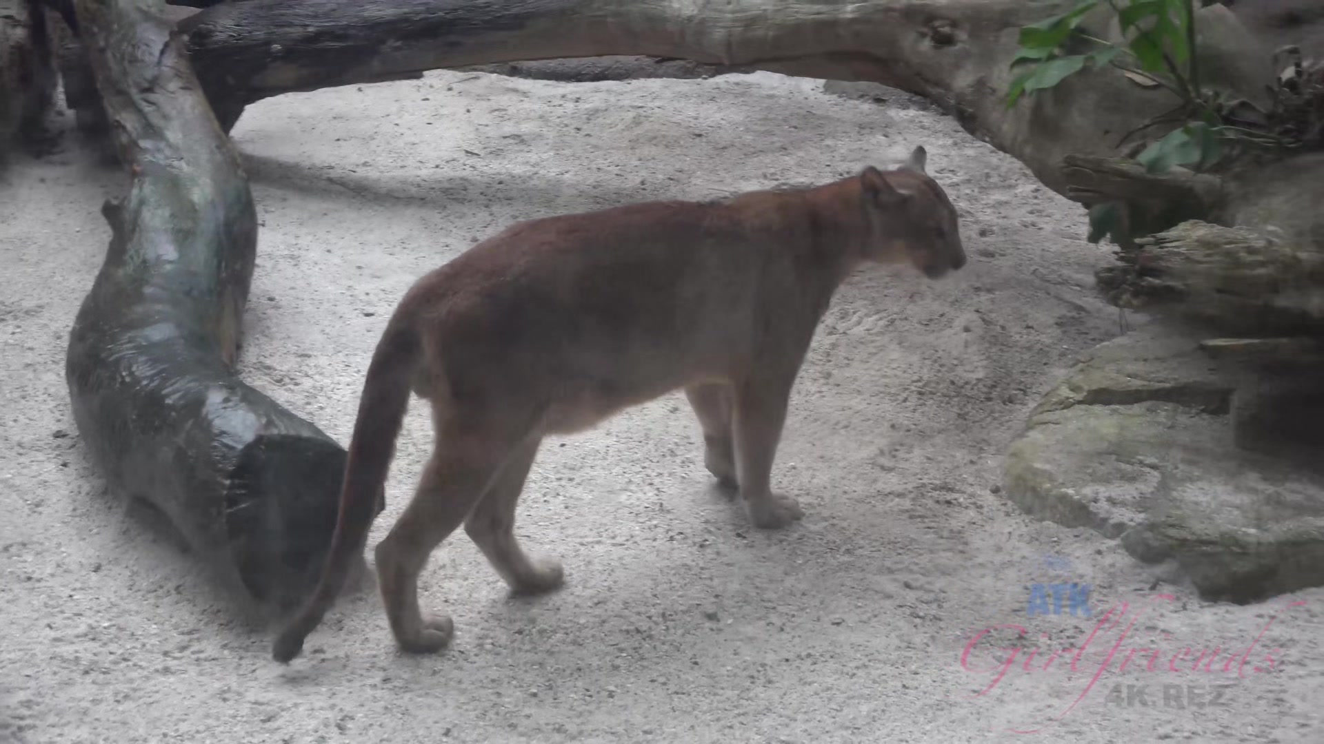 Virtual Vacation In Singapore With Emma Evins Part 4