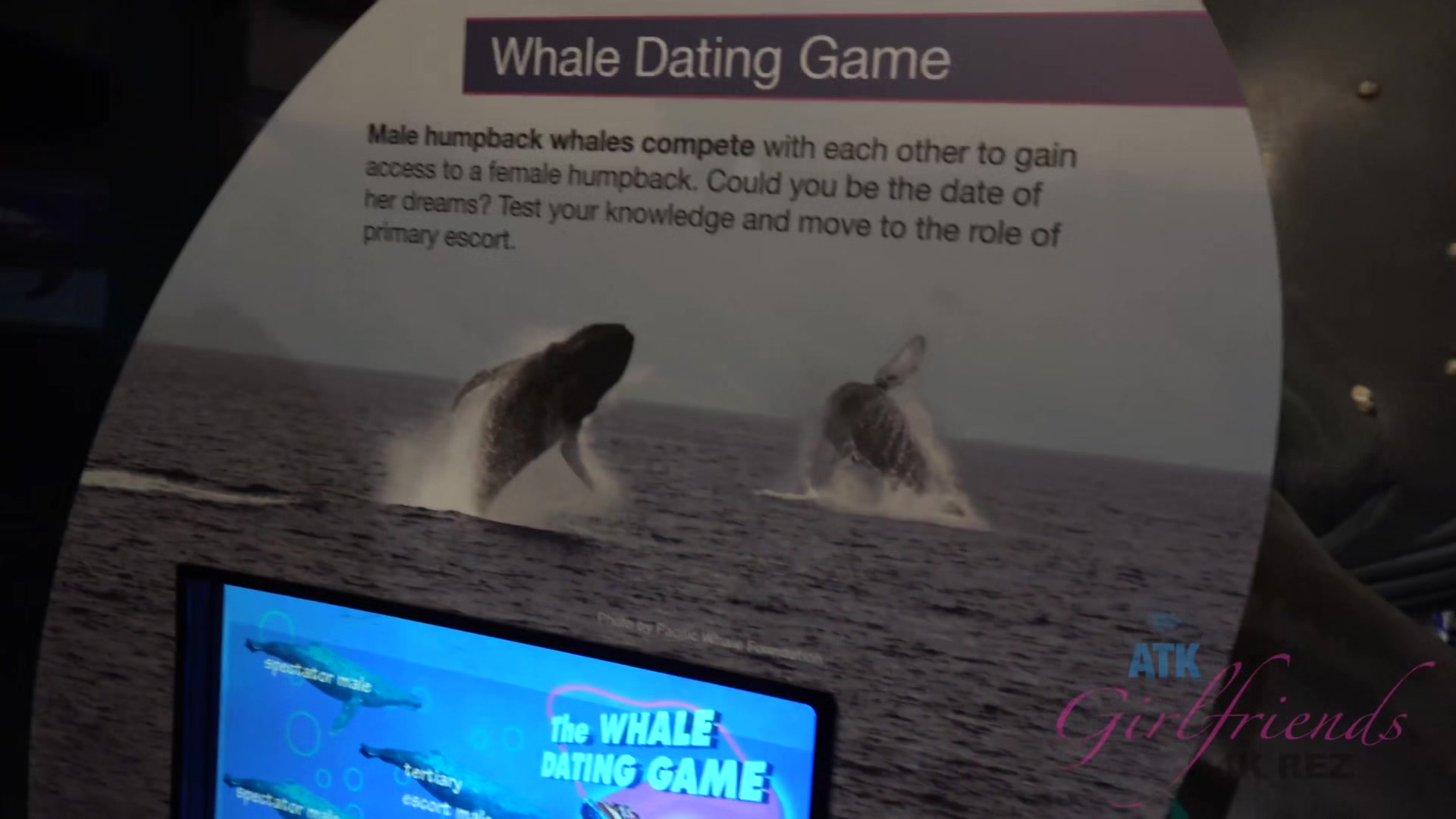 Virtual Vacation In Hawaii With Haley Reed Part 9