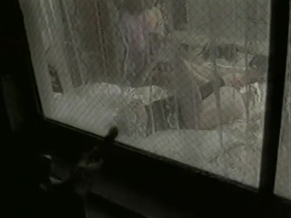 Tiffany Storm, Viper, Jamie Gillis in classic porn movie