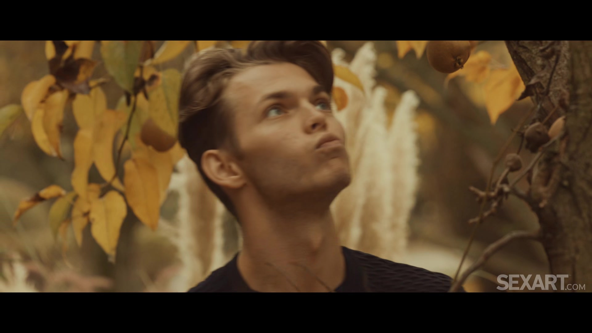 Harvest - Nata Ocean & Tommy Gold
