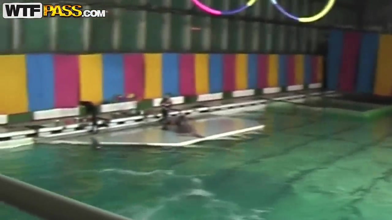 Cute and young brunette babe Natasha is getting seduced by her workmate at dolphinarium for naughty fuck.