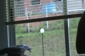Strange guy is watching my walking naked girlfriend every day