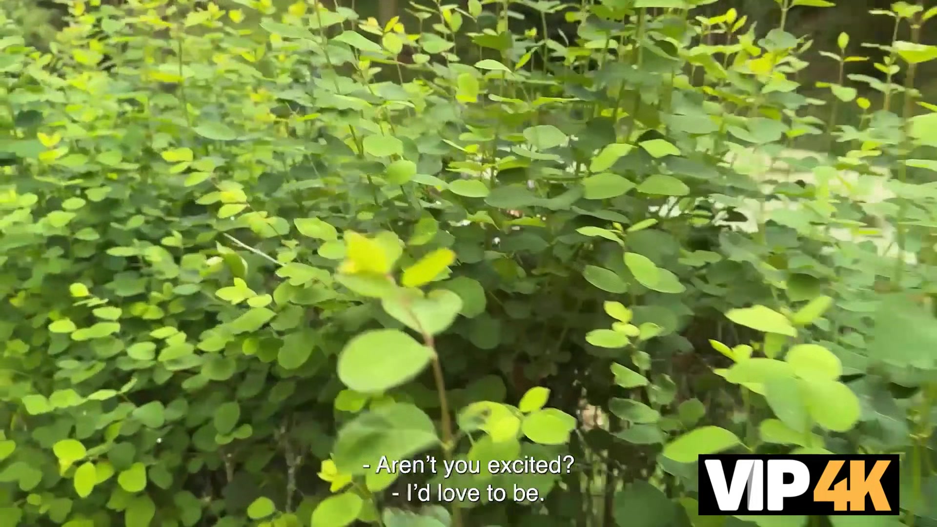 VIP4K. Hunt Down the Pussy