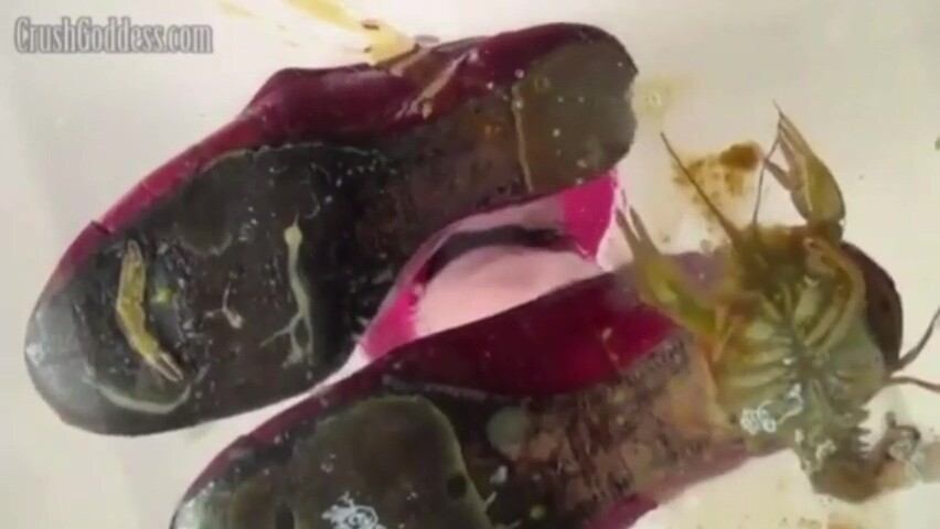 Marina flats underglass crawdad crush