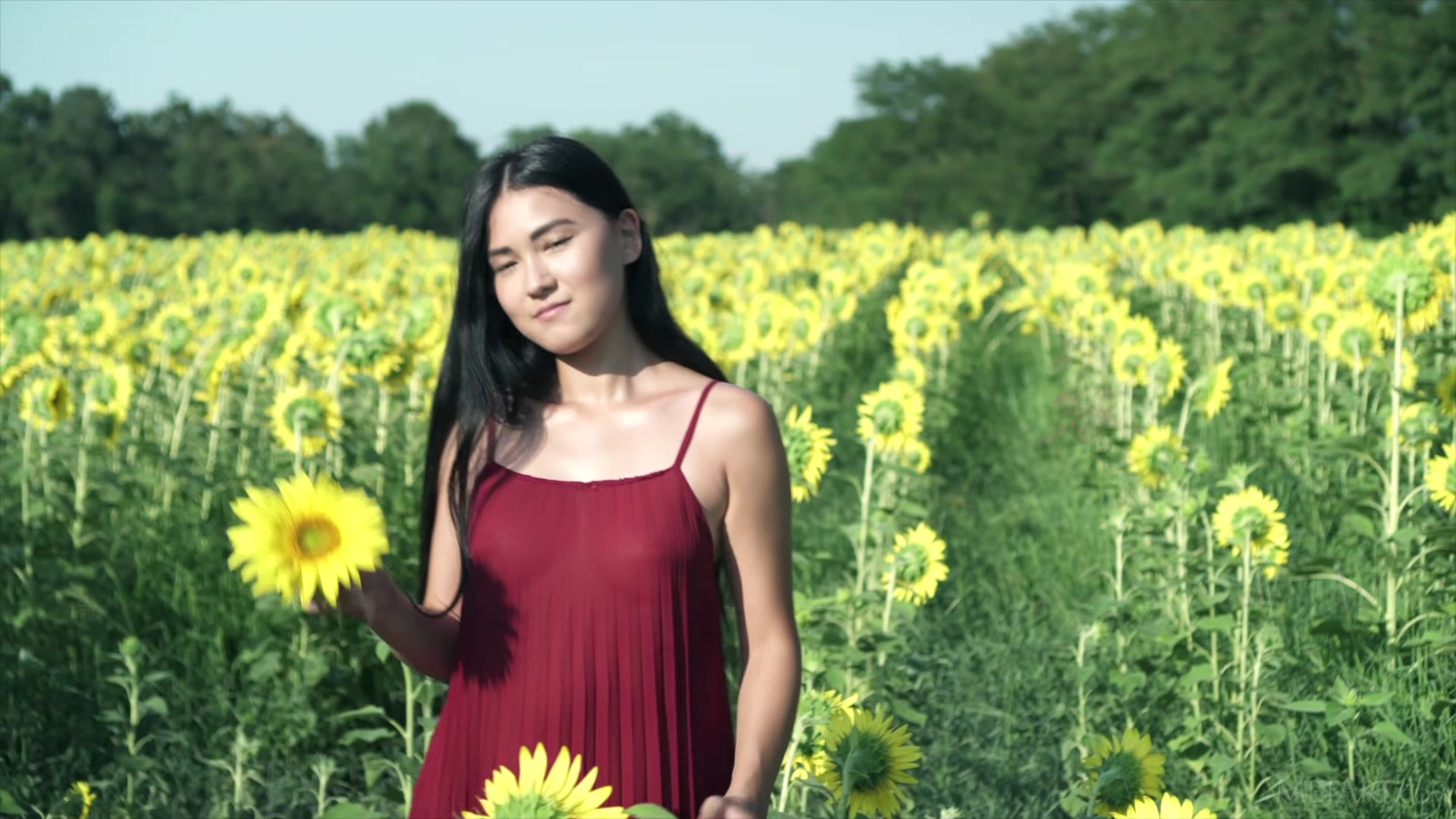 Sunflower - Kimiko - Met-Art
