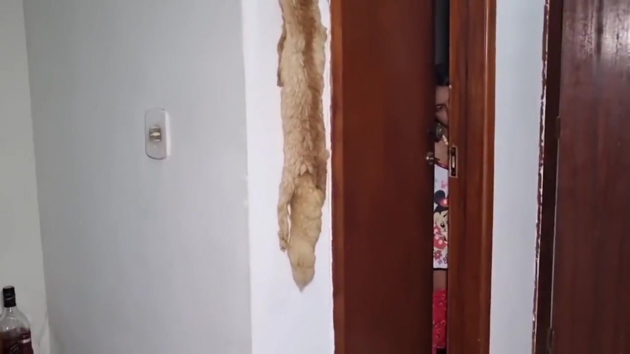 Jasmine Santanna X Alex Lima - Duas Puta