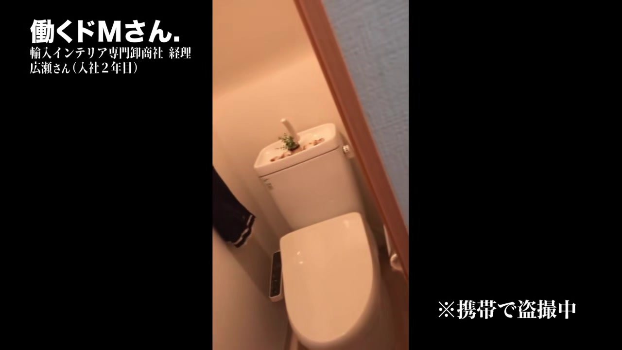 0002089_巨乳の日本の女性が激ピスされる隠し撮りのエロ合体