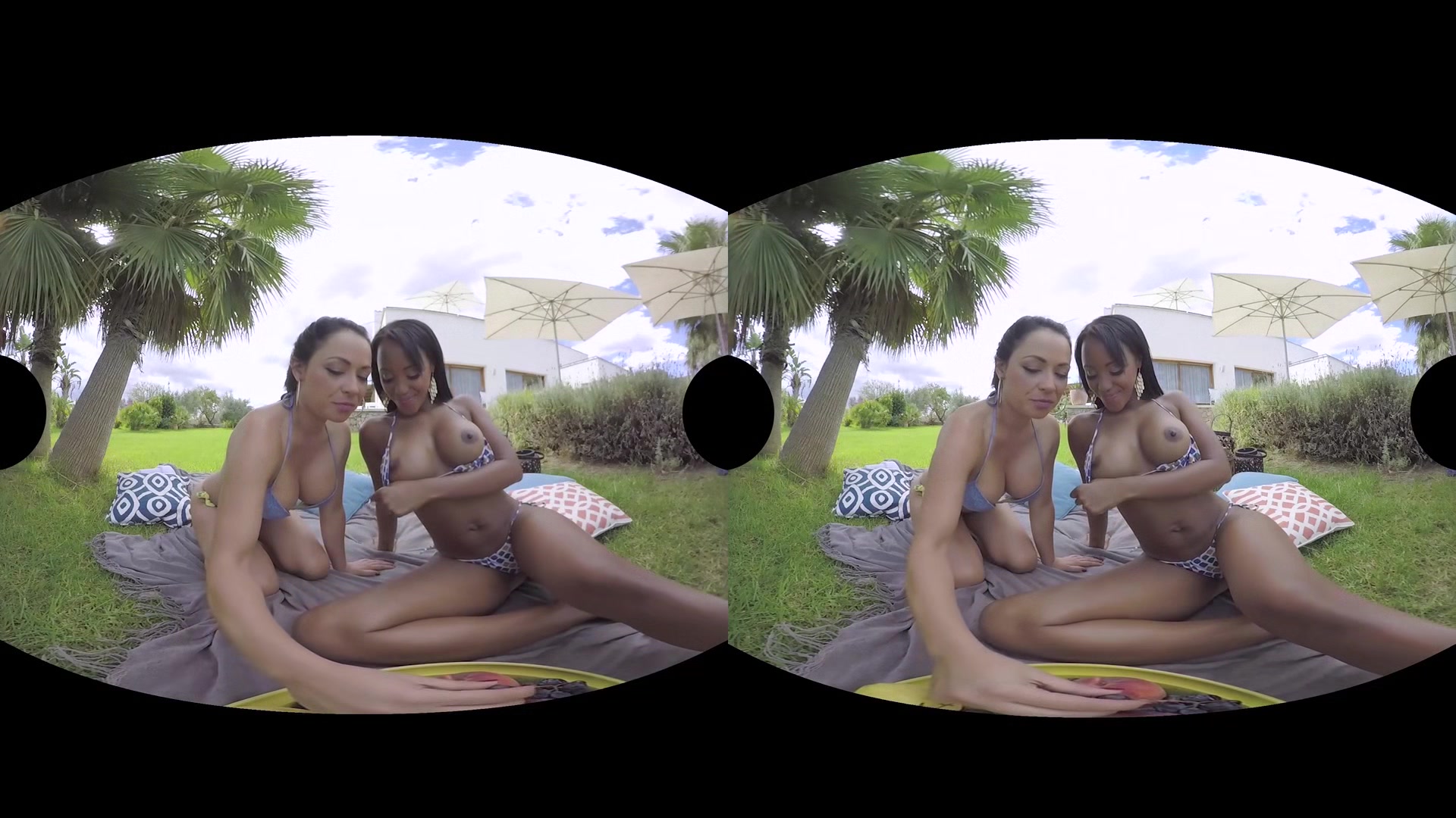 Playing In The Backyard - RealityLovers