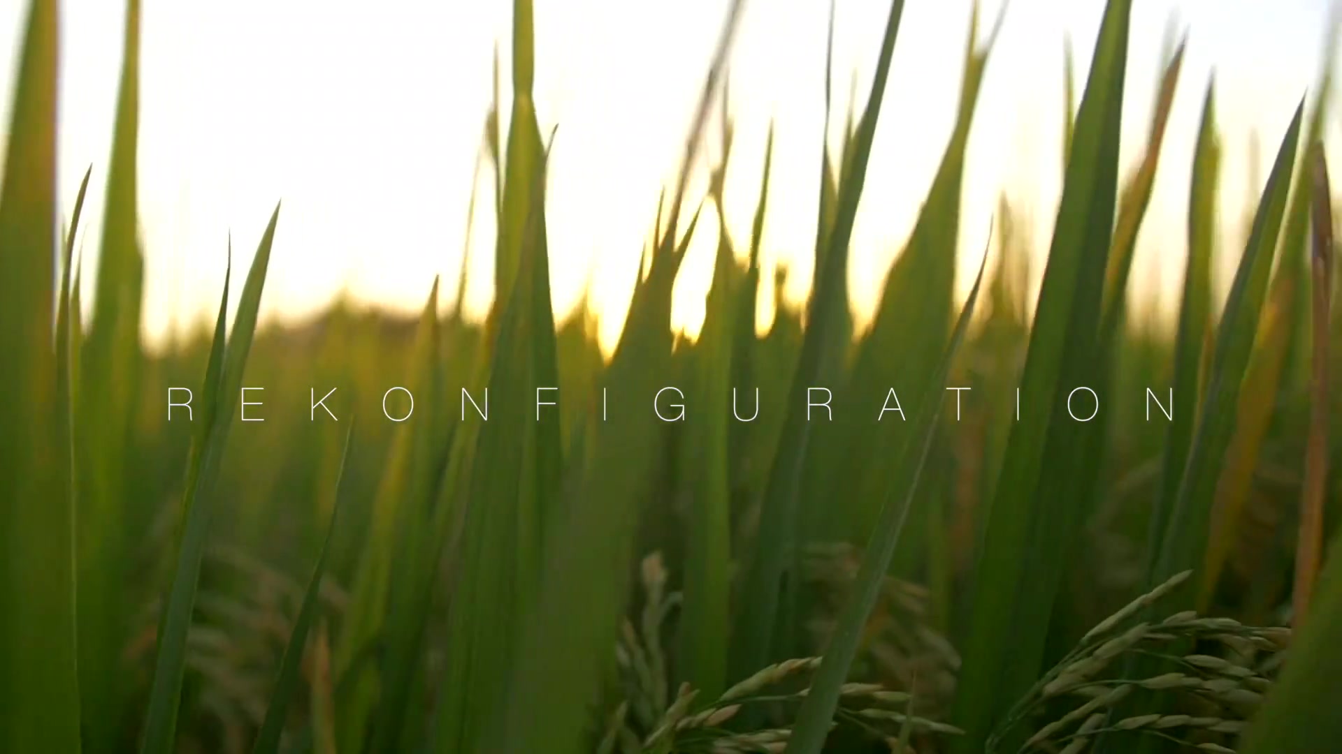 Rekonfiguration By Cipriani Un Viaje Mental - Cristiancipriani