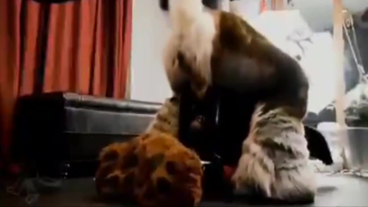 Furry Sex Murrsuit Compilation Moan 2 57 Min