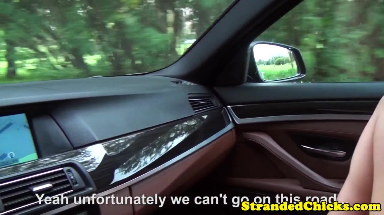Hitchhiking euro amateur sucking dick