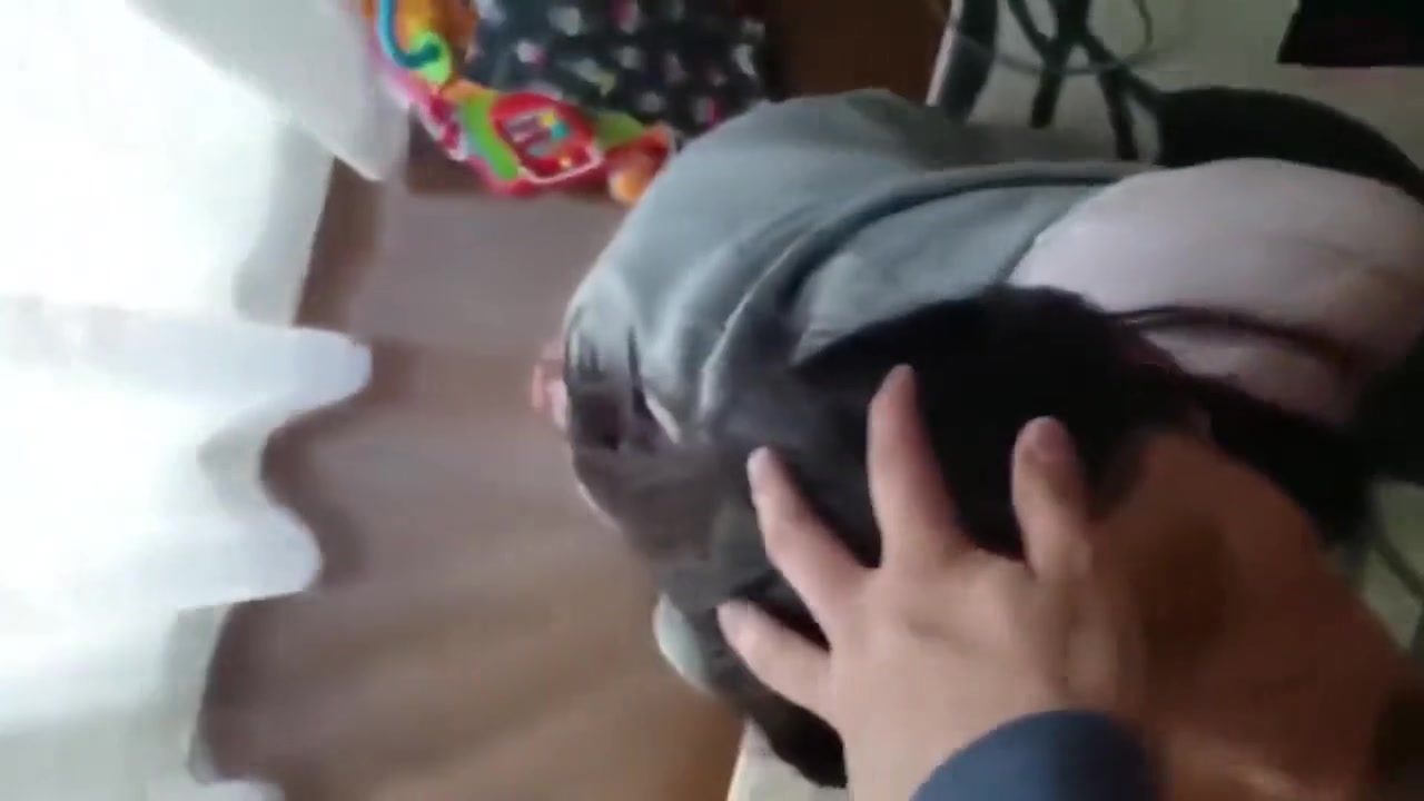 Amazing adult video Blowjob unbelievable exclusive version
