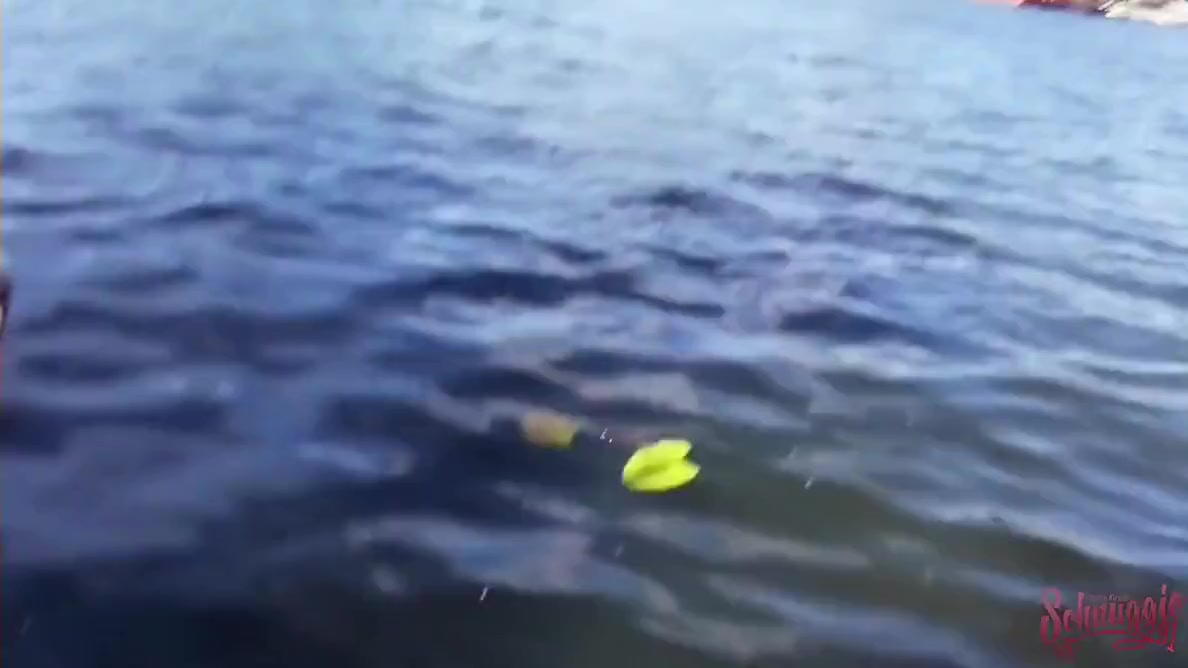 Mitten Auf Der Spree! Beim Public-fick Er