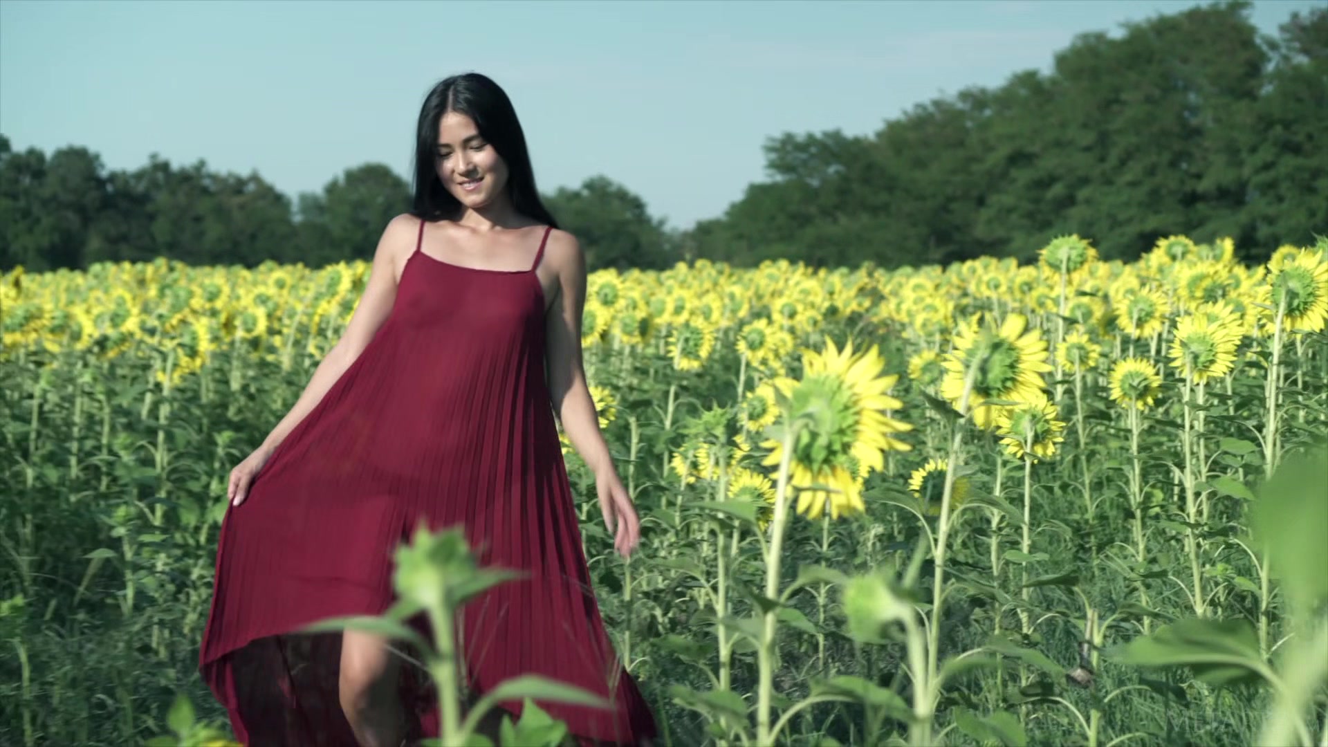 Sunflower - Kimiko - Met-Art