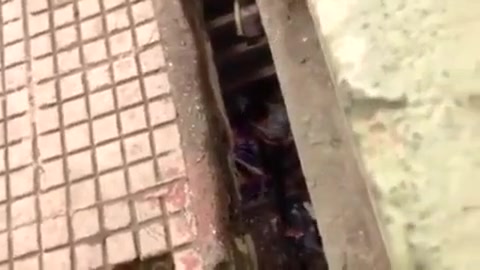 Surat pair underneath bridge sex free porn pictures
