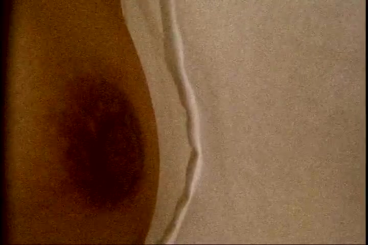 Japanese Amateur Movie