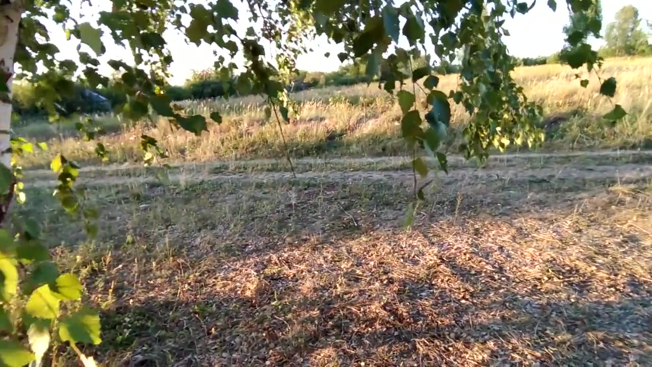 Sex With Russian teen 18+ In The Woods