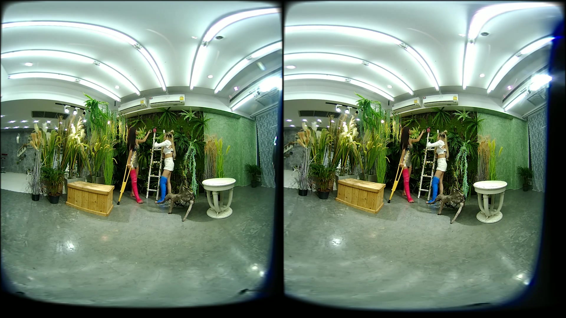 2 Girls With Long Cast Leg Visit A Flower Store 2 - VRPussyVision