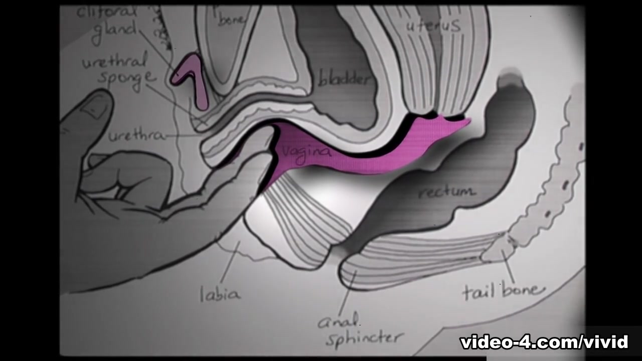 Vivid Video: Expert Guide to Female Orgasms - 1