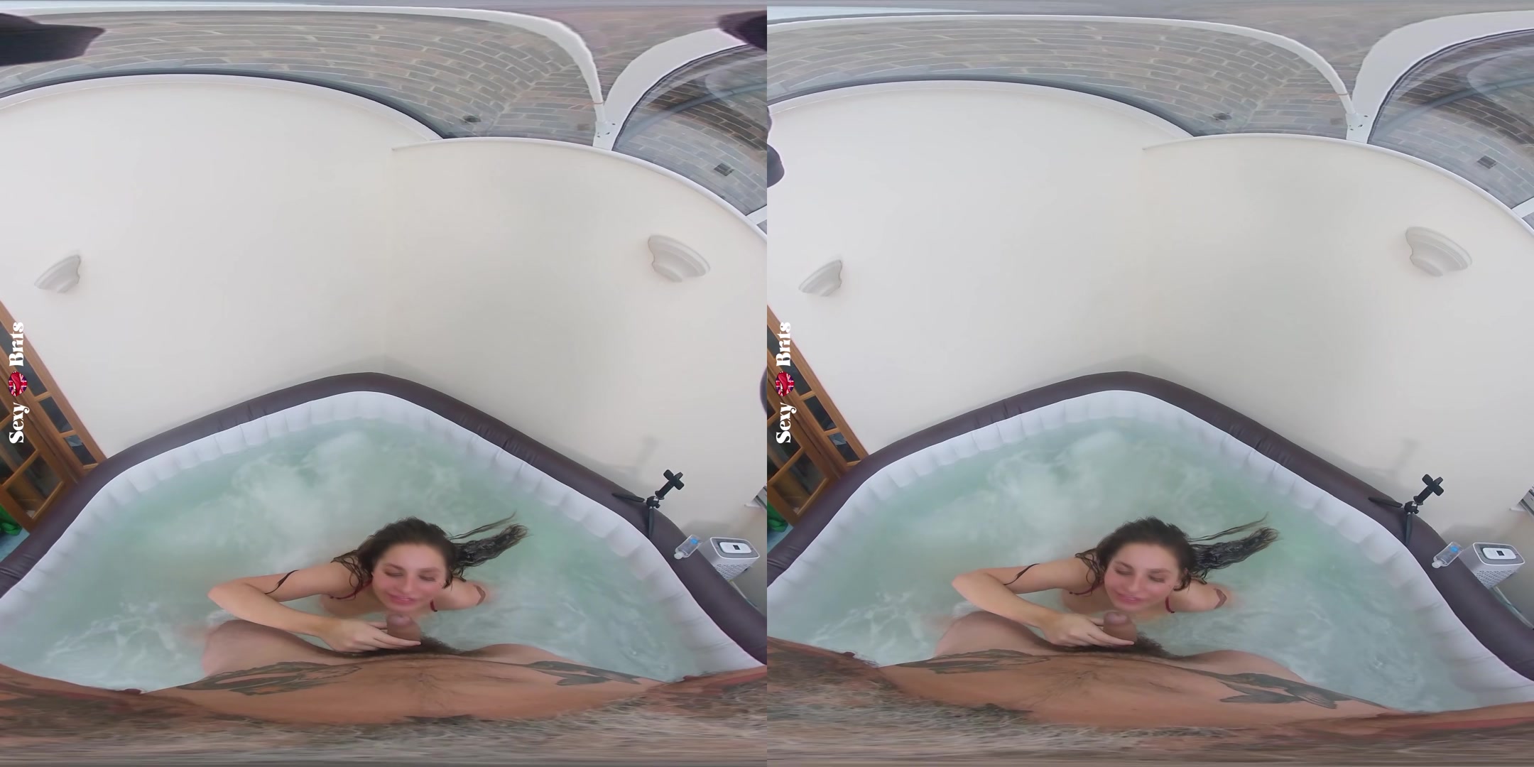 How to Bathe Your Aussie I - perVRt