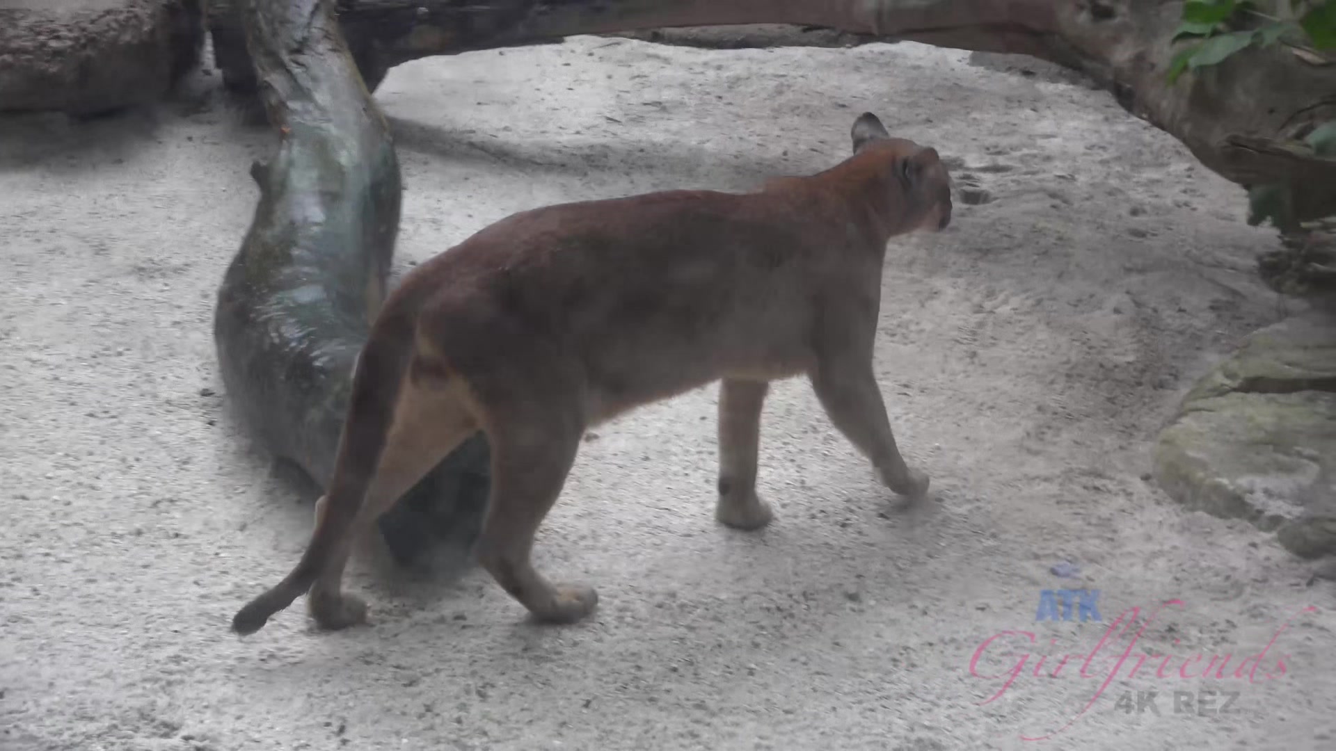 Virtual Vacation In Singapore With Emma Evins Part 4