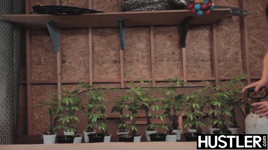 Young herbalist Rilynn Rae drilled before draining cock