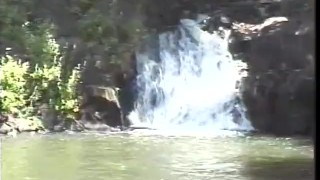 Sex Hawaiian Style - Scene 4