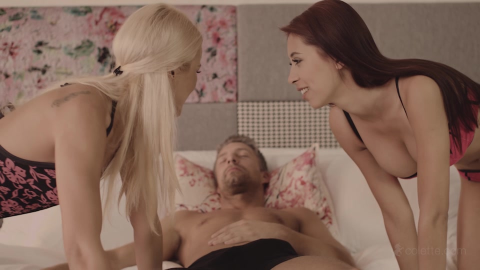 Wake Me Up Before You Blow Blow - Colette