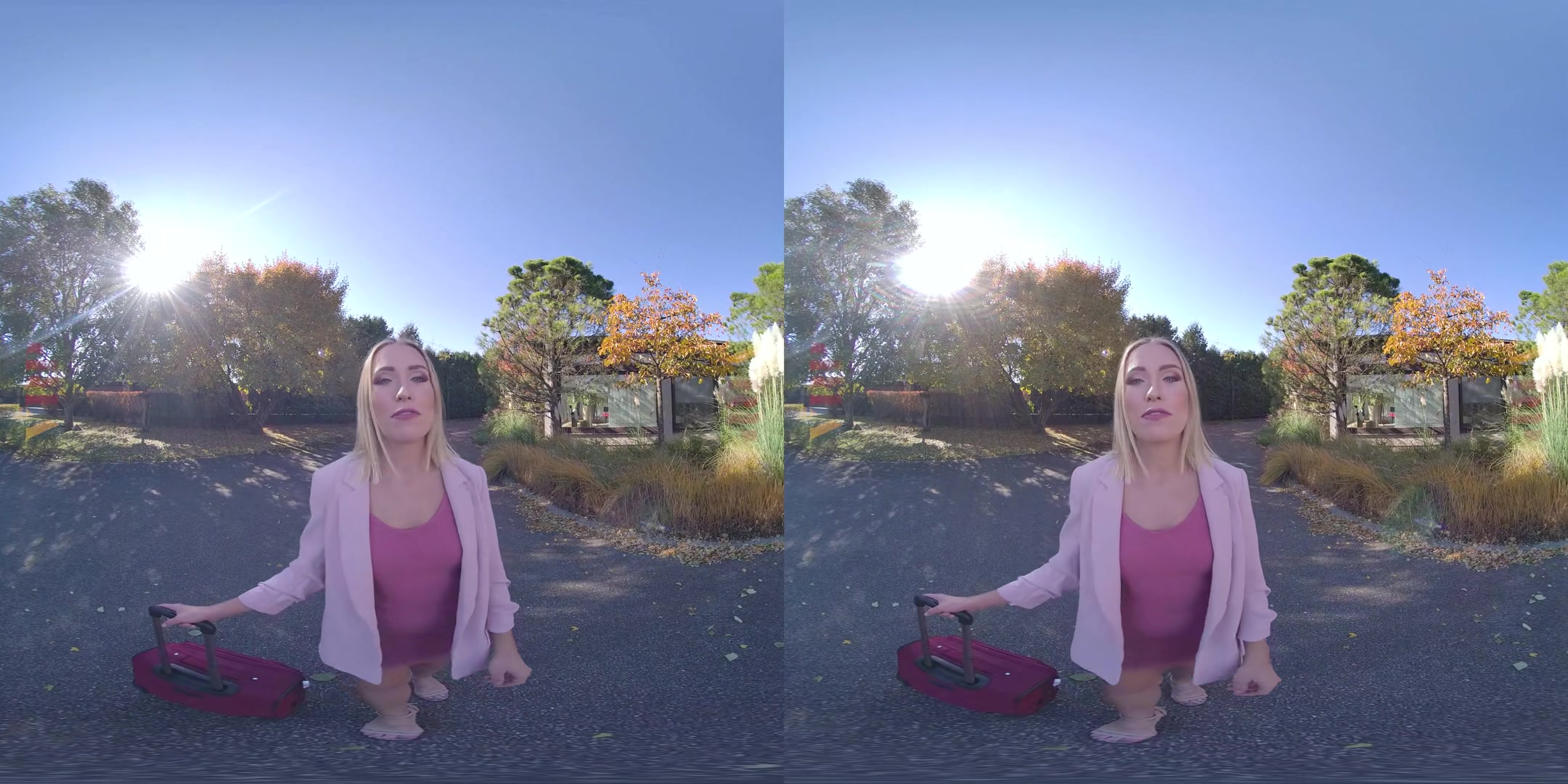 Anal-Ize This 2 - VRPFilms