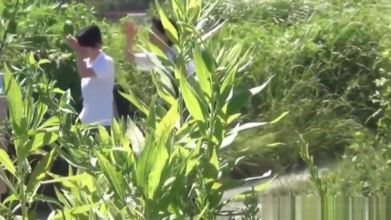 teen 18+ students 18+ Pee Outside