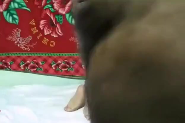 Desi bhabhi ki chudai