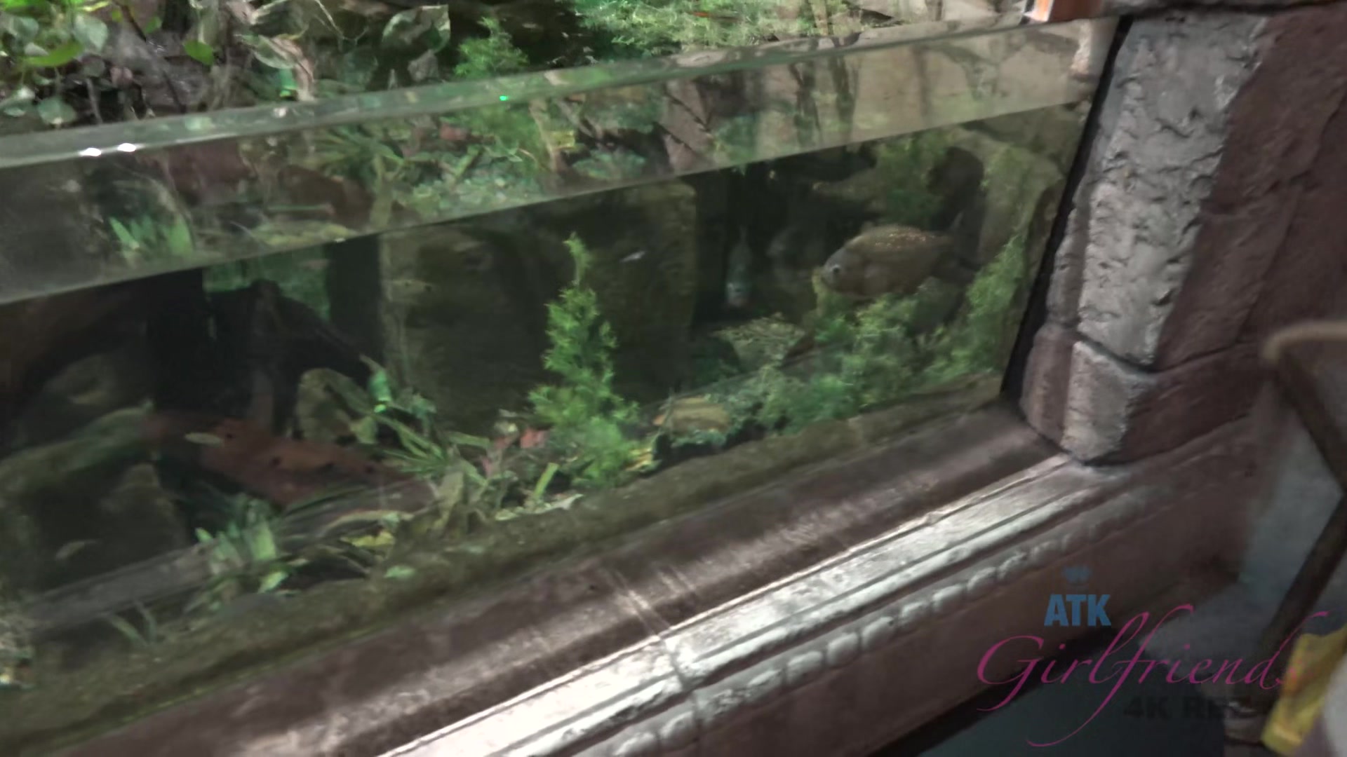 Virtual Vacation In Las Vegas With Eliza Jane Part 1