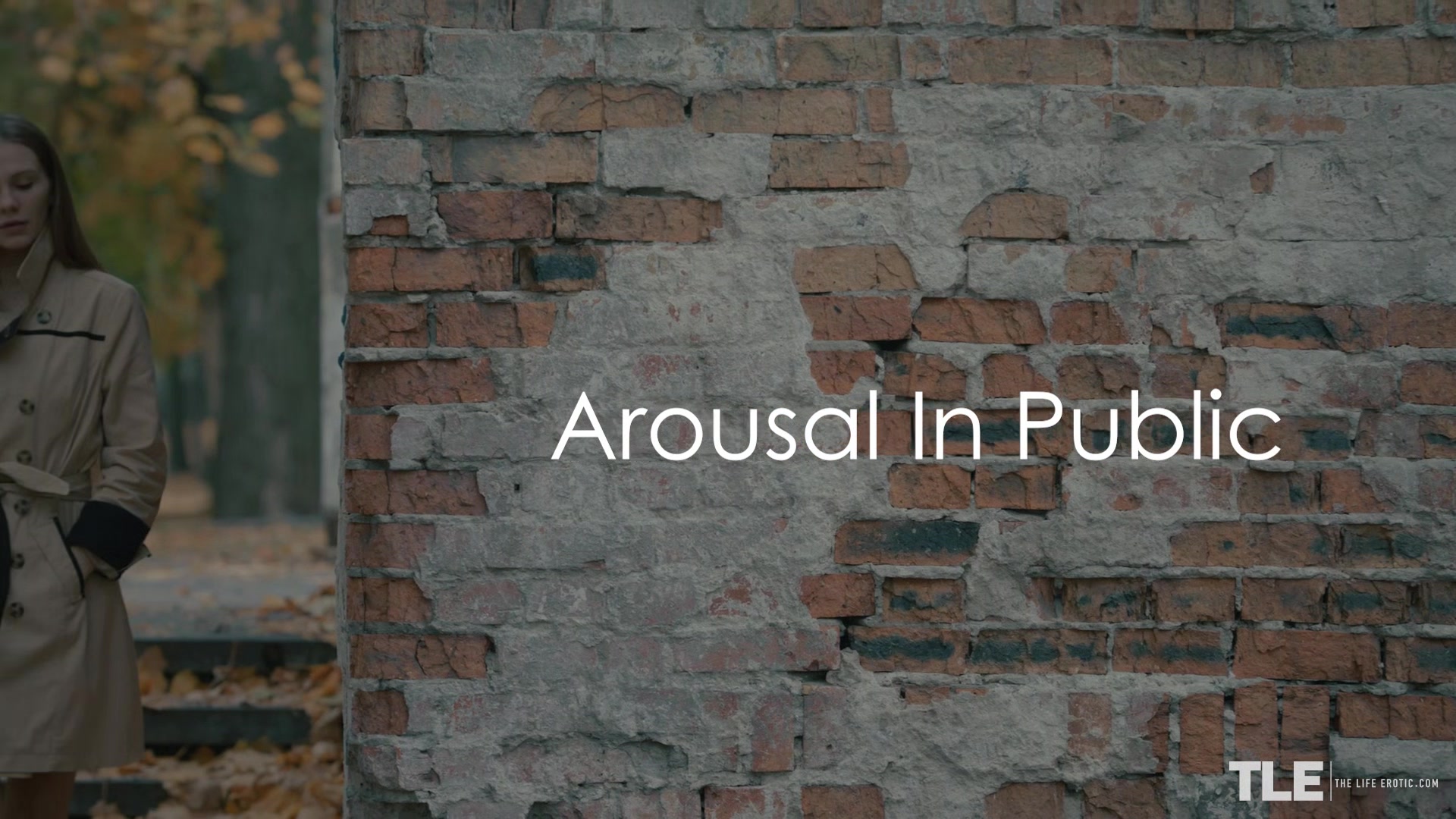 Arousal In Public 2 - Elina De Lion - TheLifeErotic