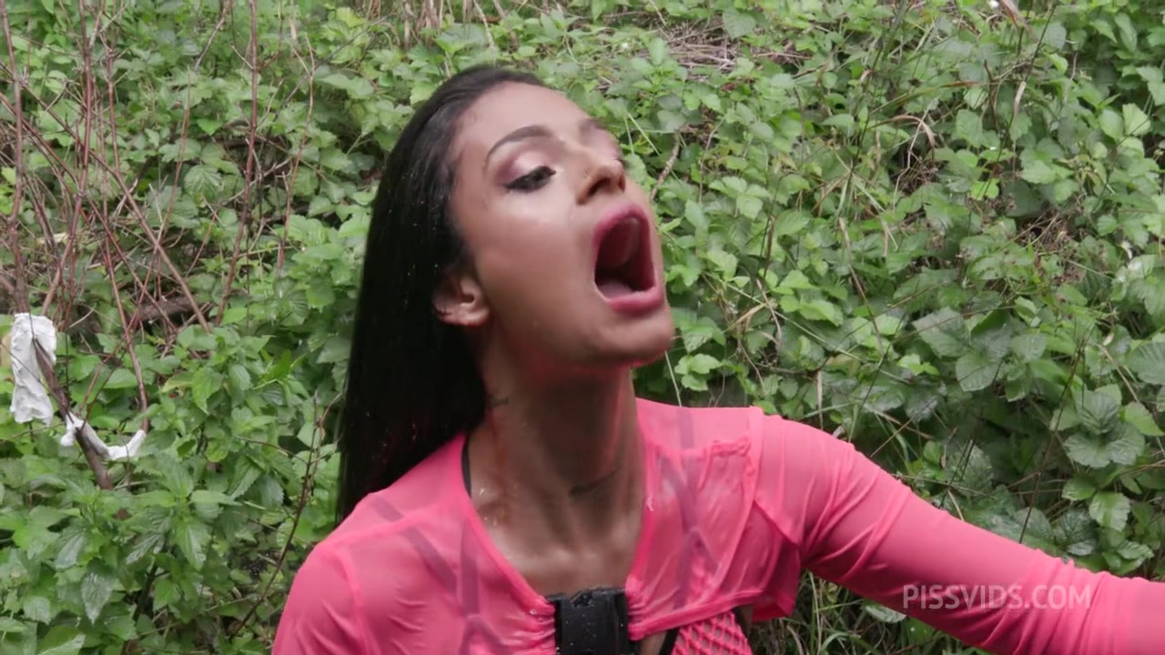 Hitch-hiking Wet, Zoe breiny, 9on1, ATM, DAP, No Pussy, Rough
